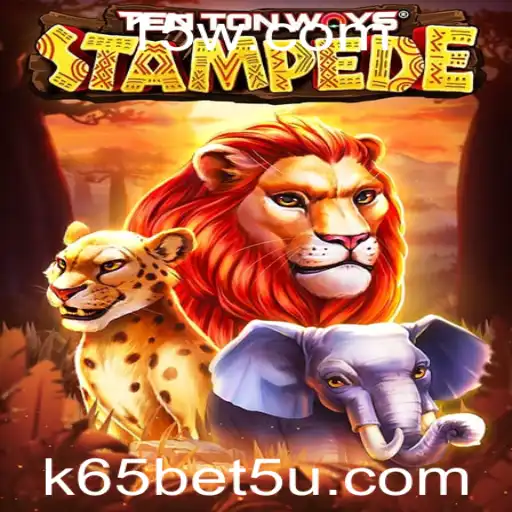k65 bet Casino App